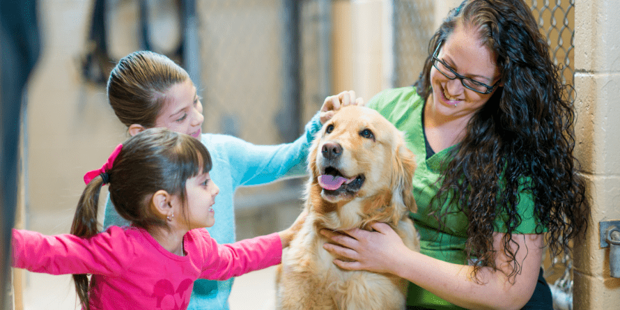 Find Your New Best Friend This Month | Canton Public Library