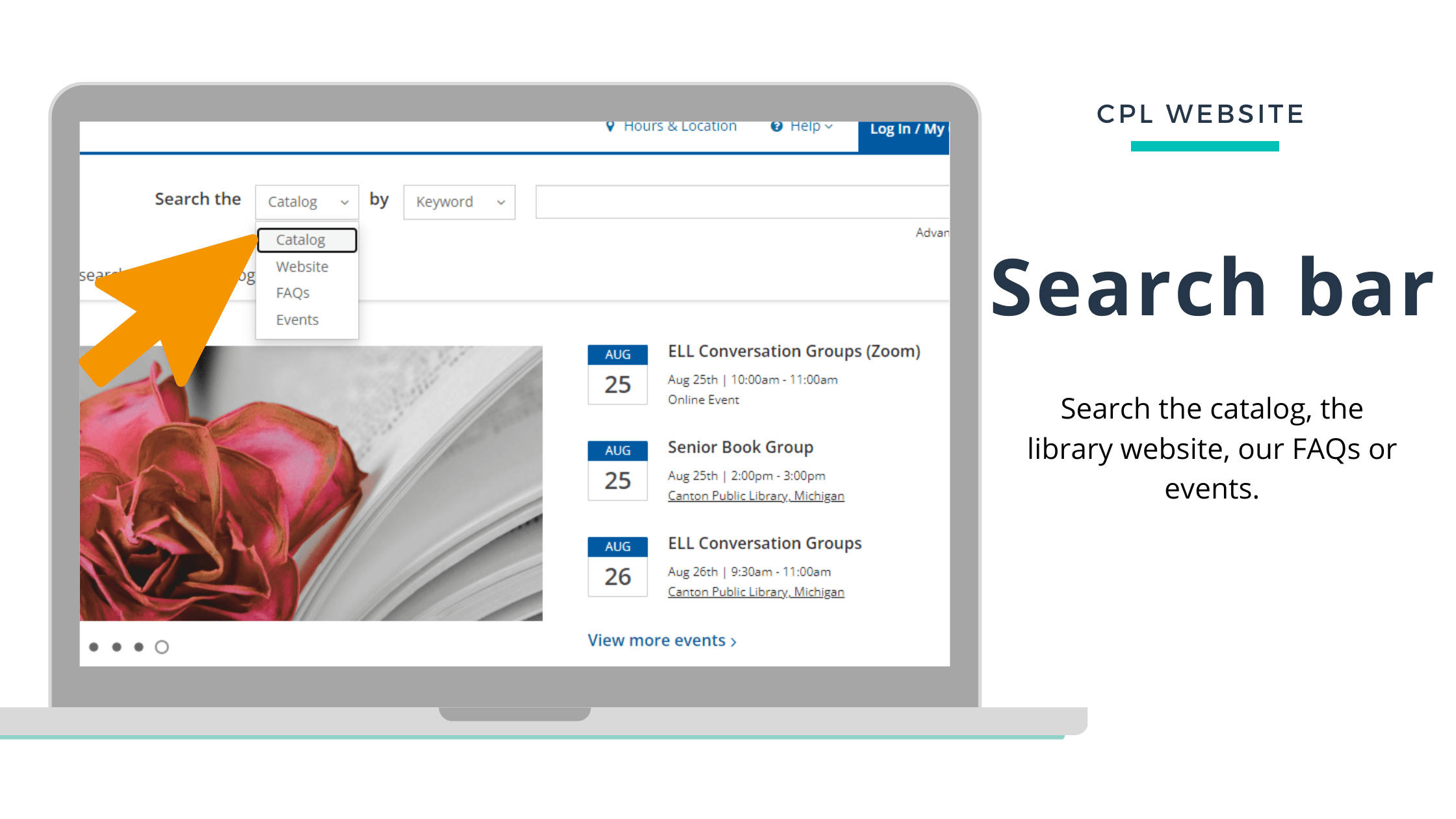 search bar