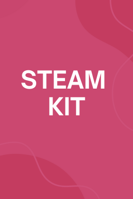 Early Electronics STEAM Kit
