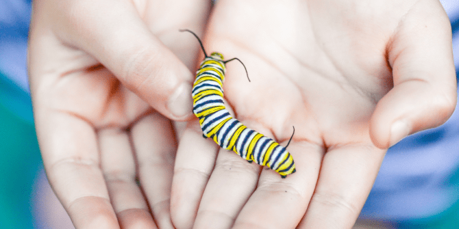 De-creepifying Bugs | Canton Public Library