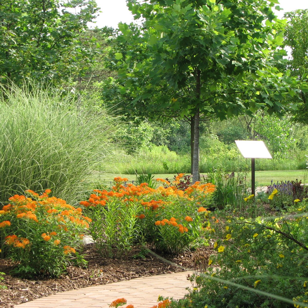 CPL Butterfly Garden